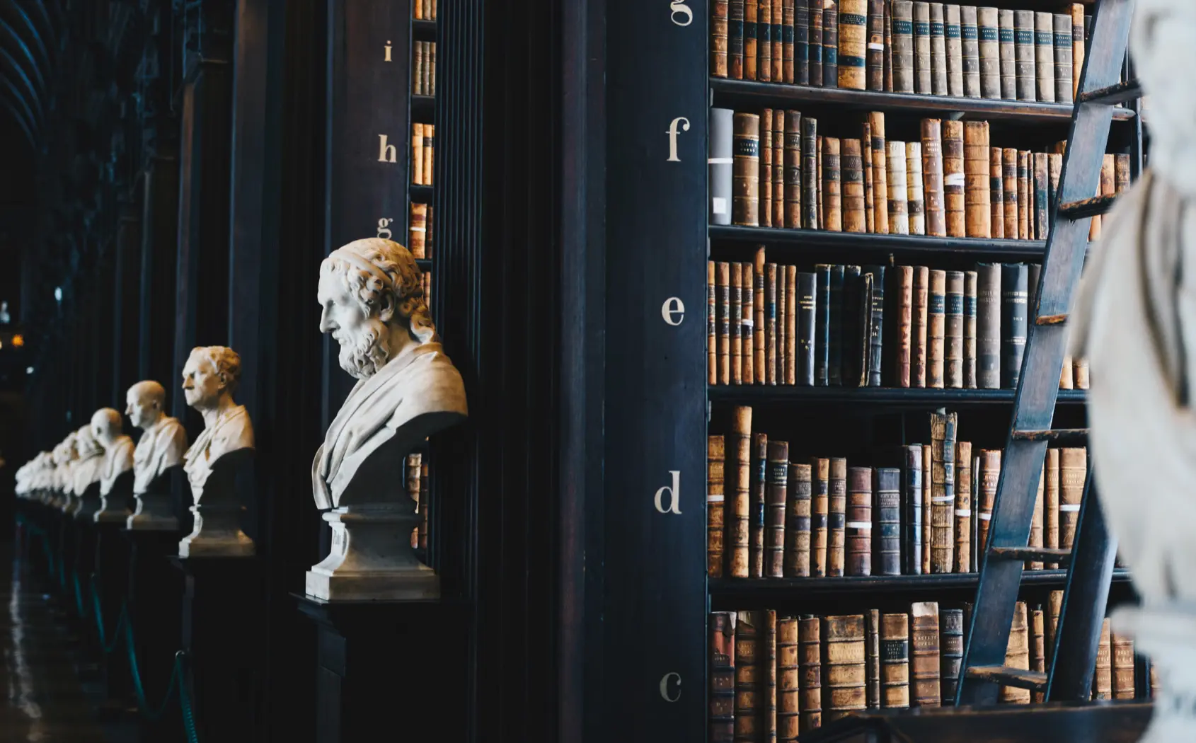 giammarco-boscaro-zeH-ljawHtg-unsplash-(1)